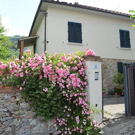 Casa1 Villa Monsummano Terme Екстериор снимка