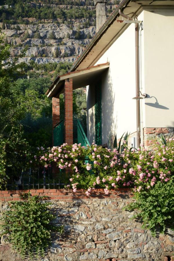 Casa1 Villa Monsummano Terme Екстериор снимка
